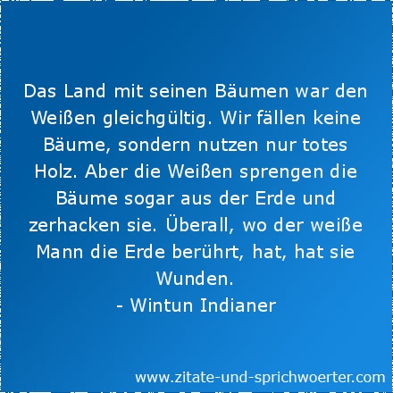 Indianische Weisheiten