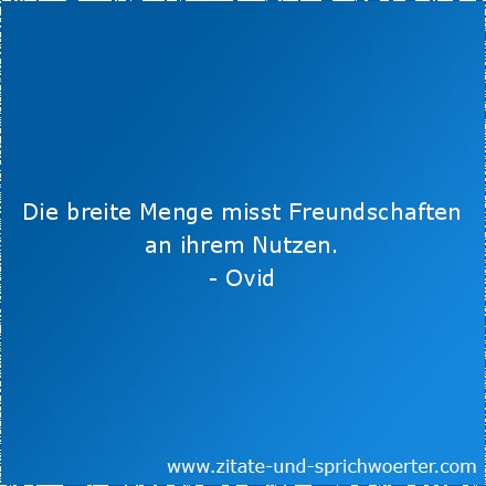 Sprüche freundschaft oder liebe Sprüche schöne?